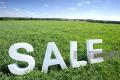 Land for Sale Caddens