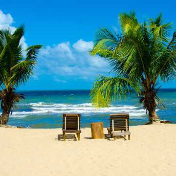 Michael Frost testimonial image