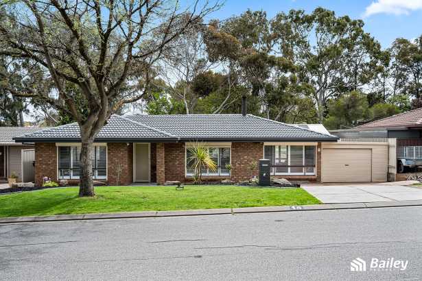 Tranquil Luxury for the Modern Family