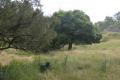 164acres yards, Best Views,open grazing