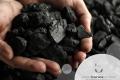 Thermal Coal Resource - New Zealand
