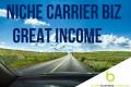 Niche Carrier Biz - Earn a Great Income