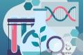 Food, Health and Cosmetic Sectors - Innovative IP