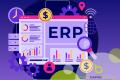 Established ERP Software Company - Profitable, Proven & Ready to Scale