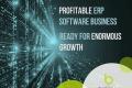 Profitable, Established ERP Software Business