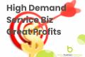 High Demand Service Biz, Great Profits