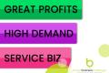 High Demand Service Biz, Great Profits