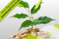 Whangarei Region Landscape Business - Genuine Motivated Sale: Established, Trusted & Ready for Growth