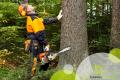 Arborist Business - Auckland to North