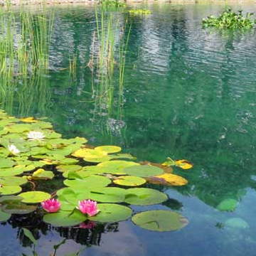 T. Rudsdale testimonial image