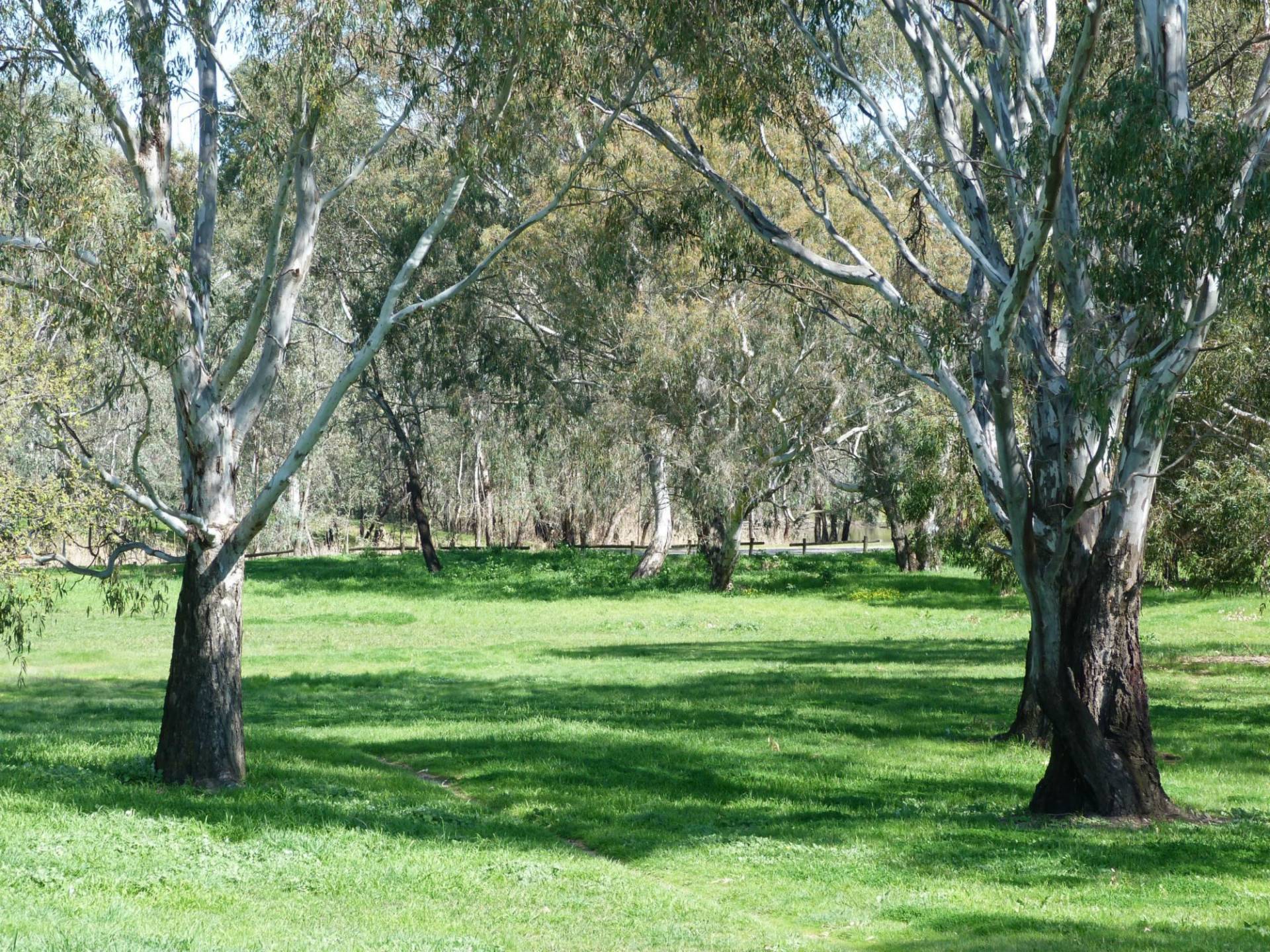 5 Psaltis Parade, Benalla VIC, Benalla - Thumbnail 5