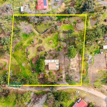 Petra & Mark testimonial image