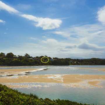 Ann Maree & Alain testimonial image