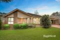 LAVISHED WITH SPACE IN HIGHVALE SECONDARY ZONE!