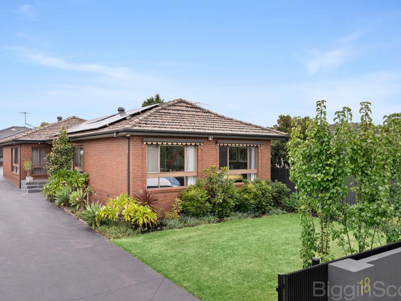 Single Level Luxury with House Proportions