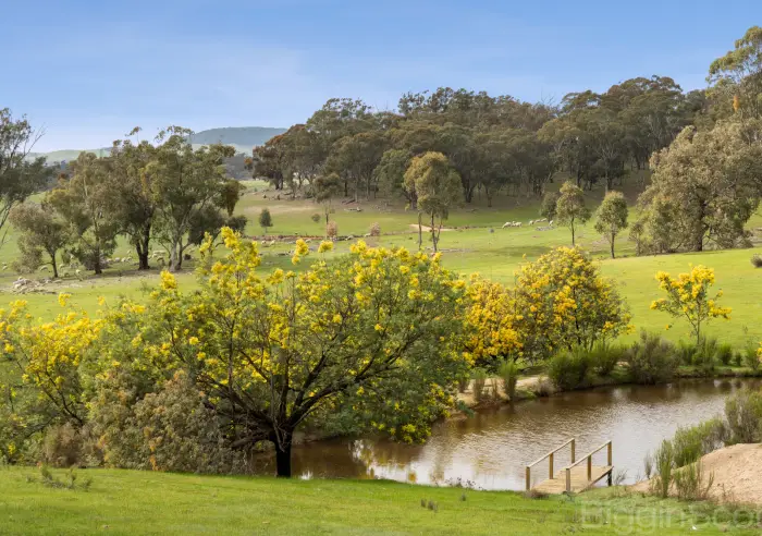595 Providence Gully Road, Yandoit Hills, VIC, Yandoit Hills - Thumbnail 4