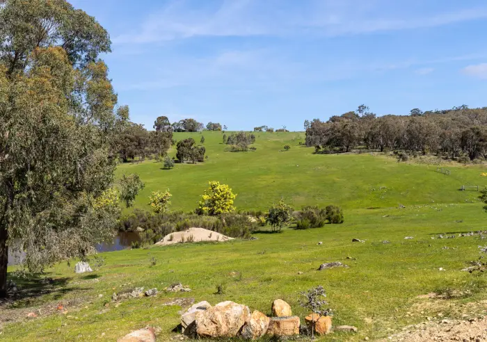 595 Providence Gully Road, Yandoit Hills, VIC, Yandoit Hills - Thumbnail 6