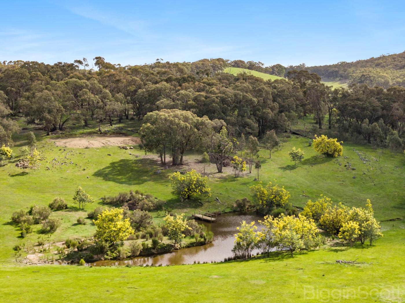 595 Providence Gully Road, Yandoit Hills, VIC, Yandoit Hills - Image 1