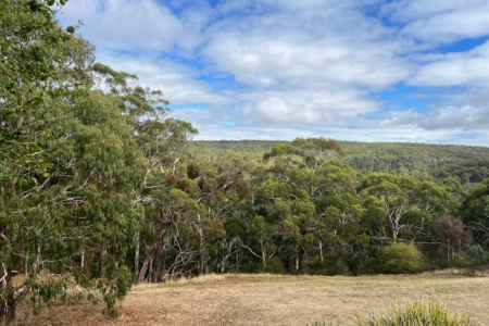 Prime Vacant Land with Views and Lifestyle Appeal