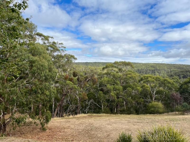 Prime Vacant Land with Views and Lifestyle Appeal