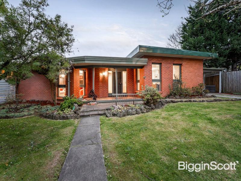 Light-filled Living in Quiet Court