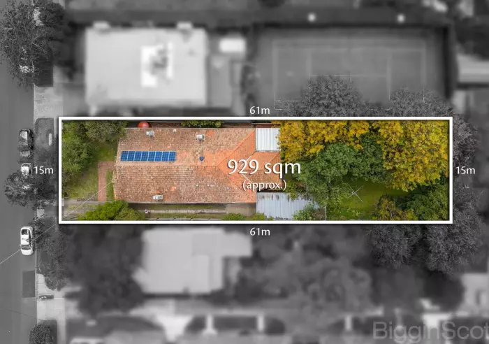 34 College Street, Elsternwick, VIC, Elsternwick - Thumbnail 3
