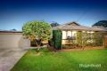 PERFECT FAMILY HOME IN GLEN WAVERLEY!