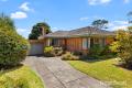 Immaculate Three Bedroom Home in Prime Mount Waverley Location