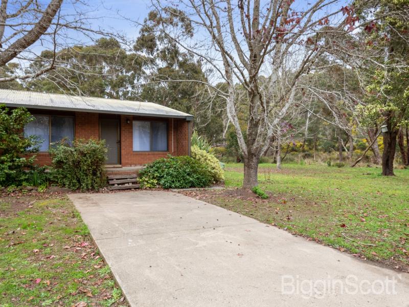 Bush Surrounding in a quiet location