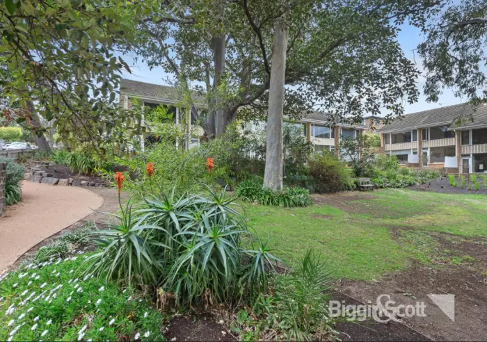 5/4-6 Grattan St, Hawthorn, VIC, Hawthorn - Thumbnail 3