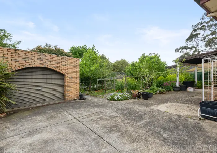 13 Hermitage Avenue, Mount Clear, VIC, Mount Clear - Thumbnail 3