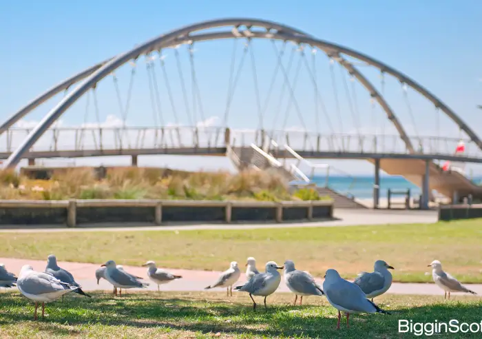 1/32 Birdwood Street, Frankston, VIC, Frankston - Thumbnail 5