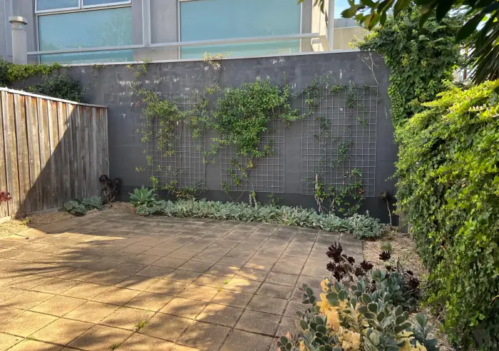 25 Palermo St, South Yarra, VIC, South Yarra - Thumbnail 6