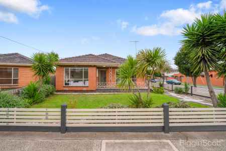Light-Filled Living on a Generous Corner Allotment