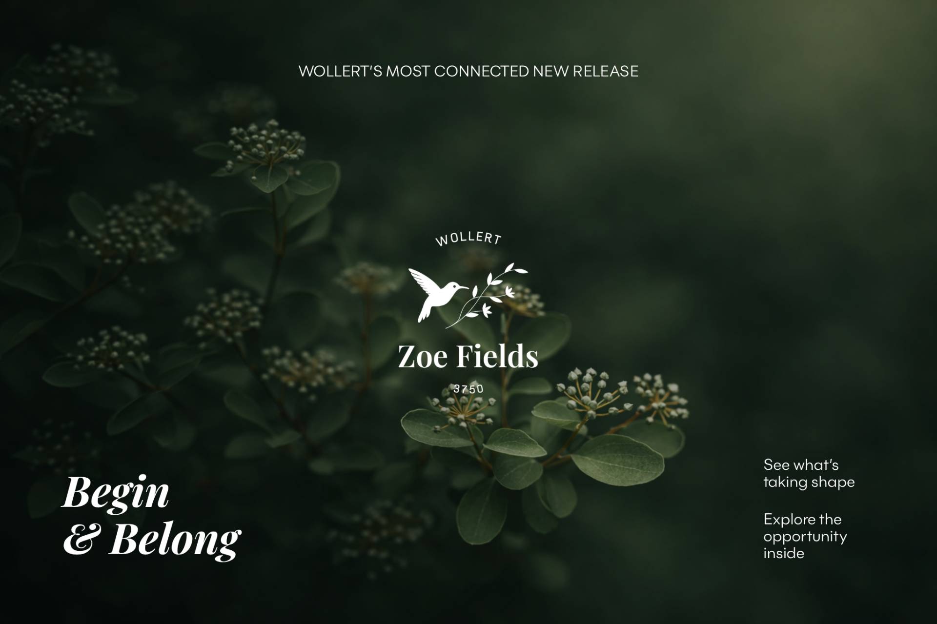 Lot 215, 20E Zoe Drive, Wollert VIC 3750, Wollert - Thumbnail 2