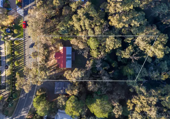 13 Forest Avenue, Hepburn Springs, VIC, Hepburn Springs - Thumbnail 3