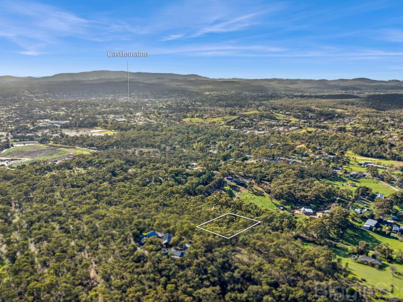 Bushland Blank Canvas in Township Zone