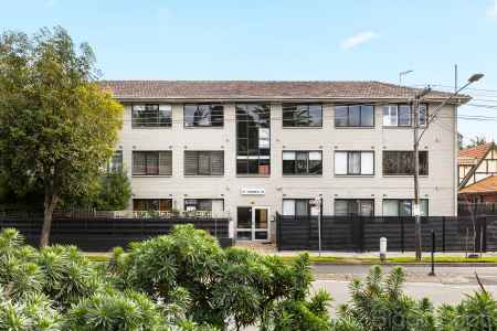 Live amongst the Palms opposite Tennyson Reserve