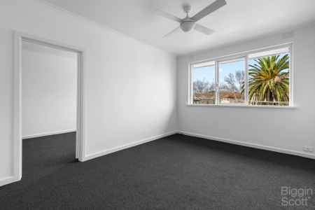 Live amongst the palms under Tennyson Reserve 