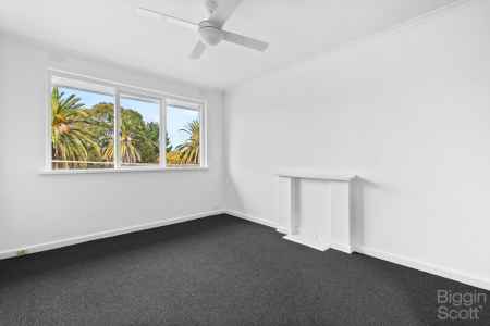 Live amongst the palms under Tennyson Reserve 