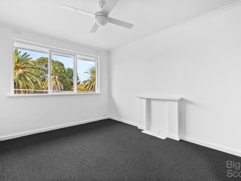 Live amongst the palms under Tennyson Reserve 