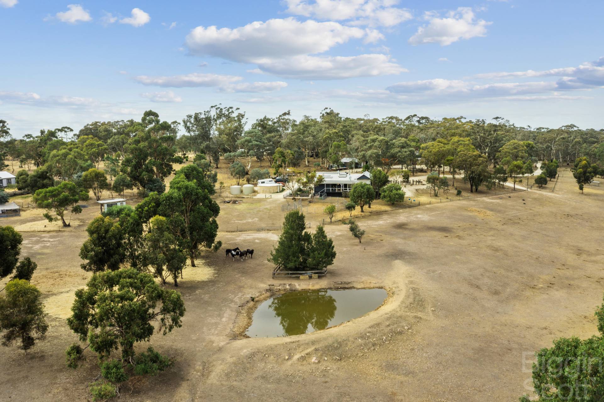 36 Mcgilvray Road, Wareek VIC 3465, Wareek - Thumbnail 5