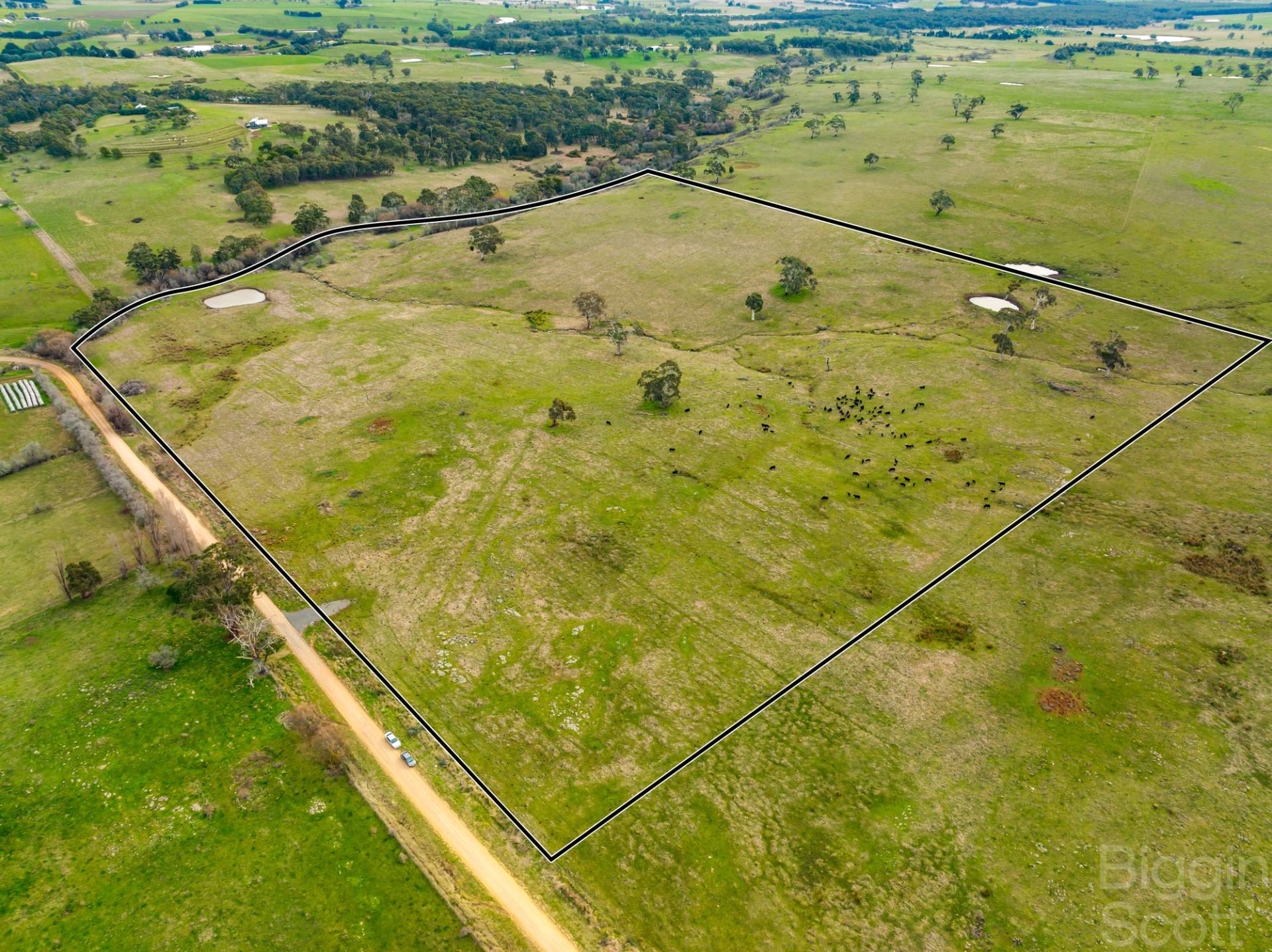 161 Langs Road, Blampied VIC 3364, Blampied - Thumbnail 7