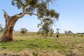 52 Acres 10 Minutes from Daylesford, Planning Permit, Long Creek Boundary & Panoramic Views 