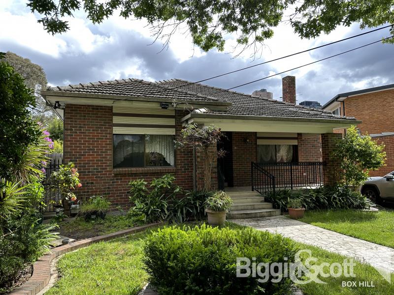 Spacious Home with Walk Distance to Box Hill Centro!