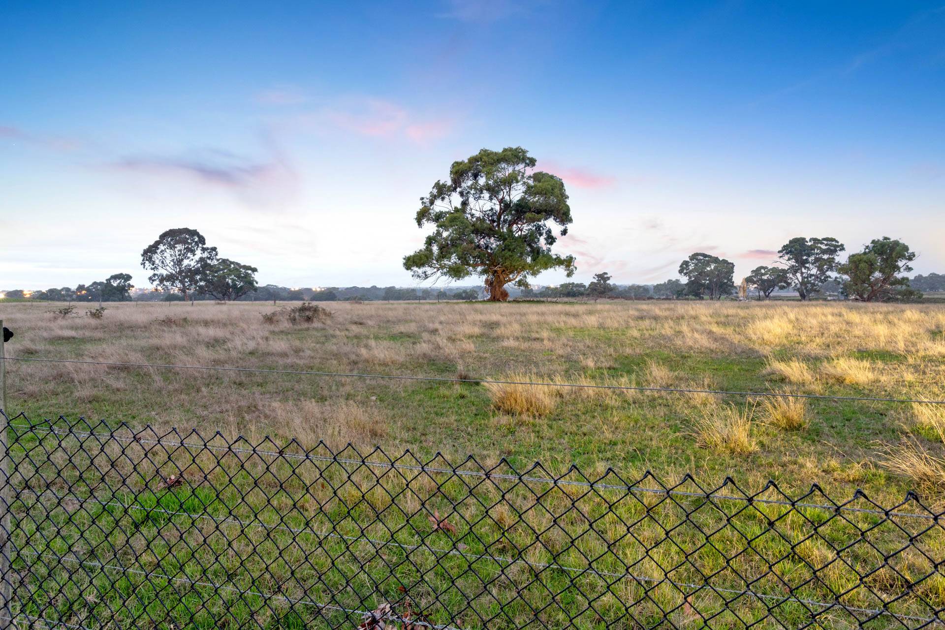 4 Giulia Place, Skye VIC 3977, Skye - Thumbnail 7