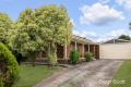 Convenience and Style: Freshly Updated Home in Rowville