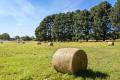 3.89 Acre Level Vacant Allotment 5 minutes to Daylesford