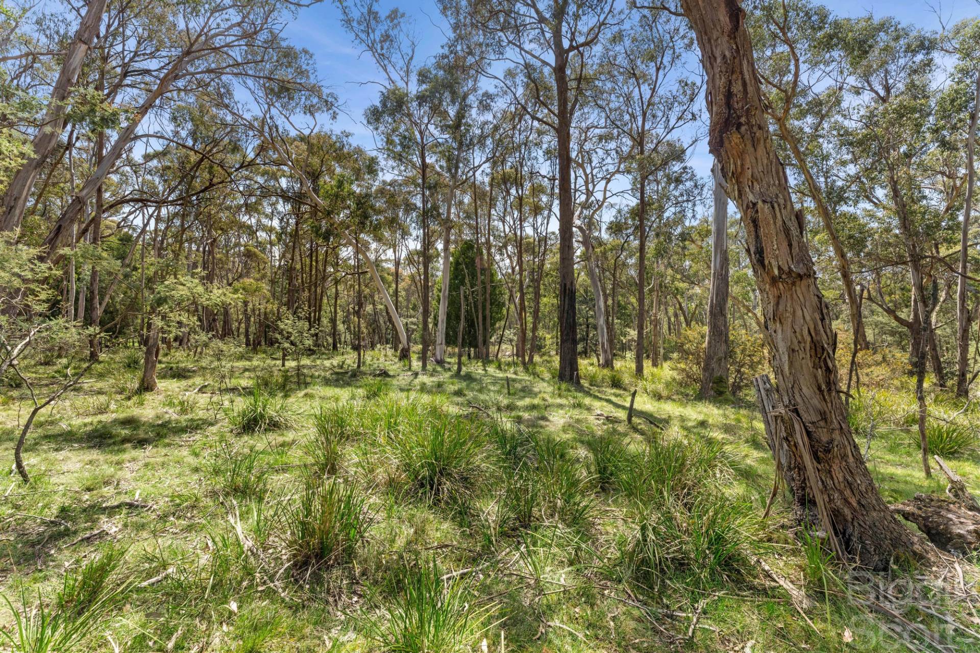 65 Springhill Road, Denver VIC 3461, Denver - Thumbnail 7