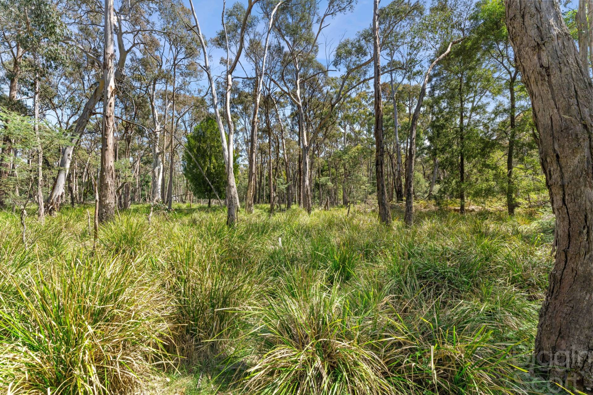 65 Springhill Road, Denver VIC 3461, Denver - Thumbnail 8